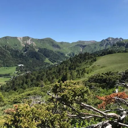 Appartement Mont-dore T2 Avec Balcon Et Parking - Fr-1-608-117