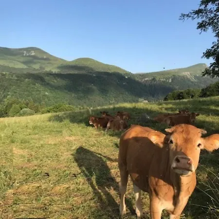 Mont-dore T2 Avec Balcon Et Parking - Fr-1-608-117 *