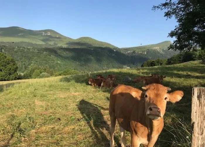 Mont-dore T2 Avec Balcon Et Parking - Fr-1-608-117 *